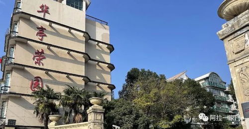 網傳上海阿姨坐擁90套房產和106個車位 有人去調查了