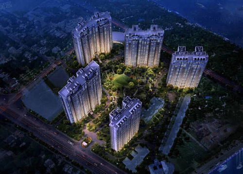 上海楊浦 怎么樣 內(nèi)部員工勁爆揭秘,為什么賣這么火爆