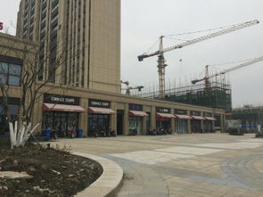 華紡和成未來派 上海華紡和成未來派配套實景圖,樣板間,效果圖,戶型圖 上海網易房產