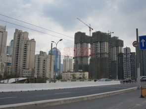 長寧88金廷 上海長寧88金廷配套實景圖,樣板間,效果圖,戶型圖 上海網易房產